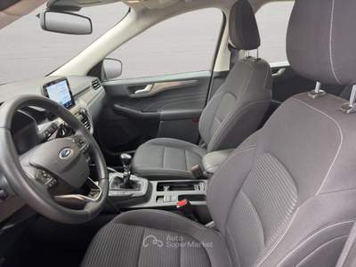 Ford Kuga 2.0 EcoBlue Hybrid 150 CV 2WD Titanium Business Grigio usata Imola