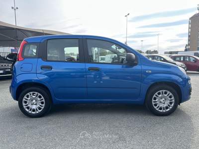 Fiat Panda Panda 1.0 FireFly S&S Hybrid Blu/Azzurro usata Cherasco