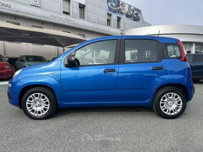 Fiat Panda Panda 1.0 FireFly S&S Hybrid Blu/Azzurro usata Cherasco