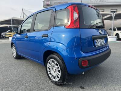 Fiat Panda Panda 1.0 FireFly S&S Hybrid Blu/Azzurro usata Cherasco