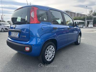 Fiat Panda Panda 1.0 FireFly S&S Hybrid Blu/Azzurro usata Cherasco
