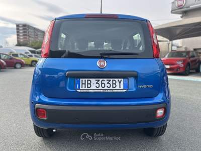 Fiat Panda Panda 1.0 FireFly S&S Hybrid Blu/Azzurro usata Cherasco