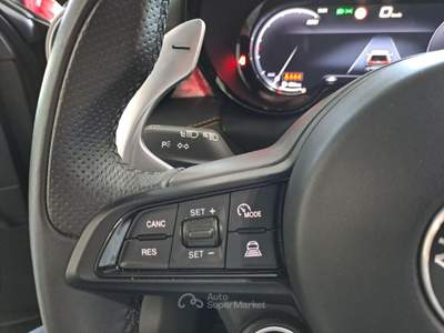 Alfa Romeo Tonale 1.6 diesel 130 CV TCT6 Veloce Grigio usata Somma Vesuviana