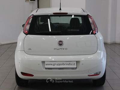 Fiat Punto 1.3 MJT II S&S 85 CV 5p.ECO Young Bianco usata Potenza