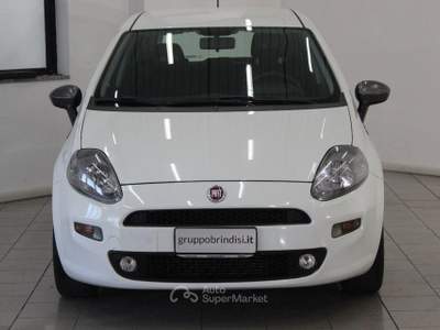 Fiat Punto 1.3 MJT II S&S 85 CV 5p.ECO Young Bianco usata Potenza