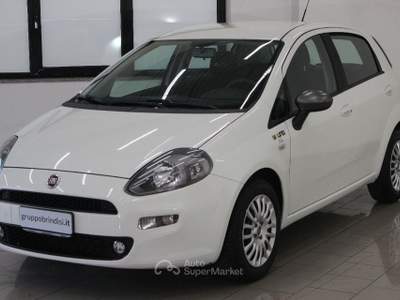 Fiat Punto 1.3 MJT II S&S 85 CV 5p.ECO Young Bianco usata Potenza