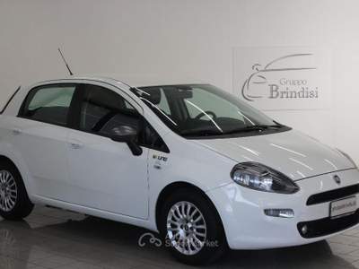 Fiat Punto 1.3 MJT II S&S 85 CV 5p.ECO Young Bianco usata Potenza
