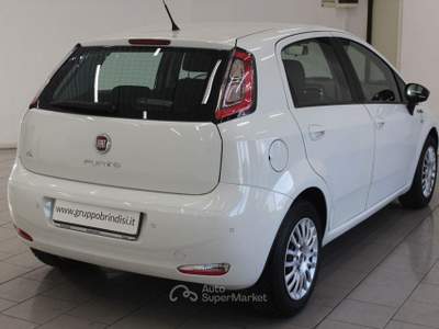 Fiat Punto 1.3 MJT II S&S 85 CV 5p.ECO Young Bianco usata Potenza