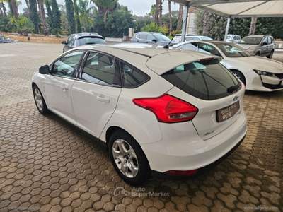 Ford Focus Focus 1.0 EcoBoost 100 CV S&S Business Nero usata San Michele Salentino