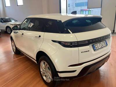 Land Rover Range Rover Evoque 2.0D I4 163 CV AWD Auto S Bianco usata Massarosa