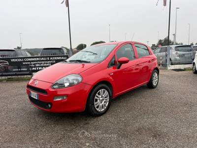 Fiat Punto Punto 1.3 MJT II S&S 75CV LOUNGE usata Cervia