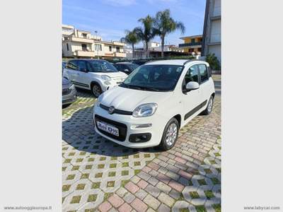 Fiat Panda Panda 1.2 Lounge Bianco usata Cimitile