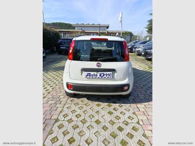 Fiat Panda Panda 1.2 Lounge Bianco usata Cimitile
