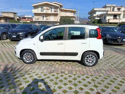 Fiat Panda Panda 1.2 Lounge Bianco usata Cimitile