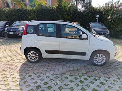 Fiat Panda Panda 1.2 Lounge Bianco usata Cimitile