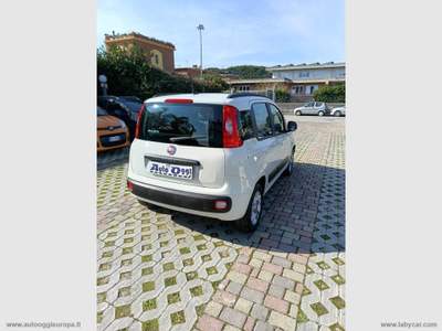 Fiat Panda Panda 1.2 Lounge Bianco usata Cimitile
