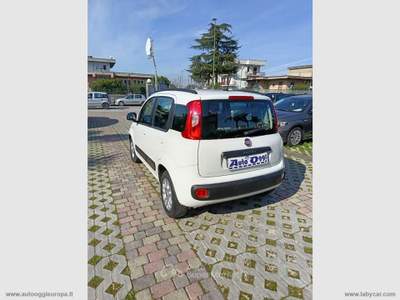 Fiat Panda Panda 1.2 Lounge Bianco usata Cimitile