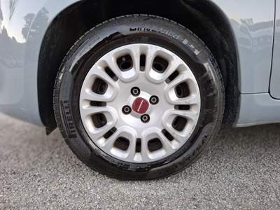 Fiat Panda Panda 1.0 FireFly S&S Hybrid Grigio usata RIMINI