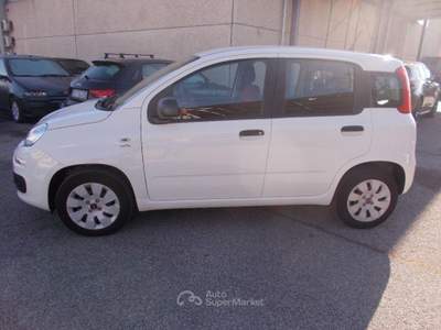Fiat Panda 1.2 Pop Bianco usata Terni