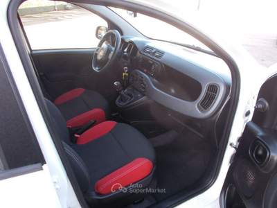 Fiat Panda 1.2 Pop Bianco usata Terni