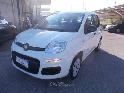 Fiat Panda 1.2 Pop Bianco usata Terni