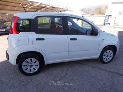 Fiat Panda 1.2 Pop Bianco usata Terni