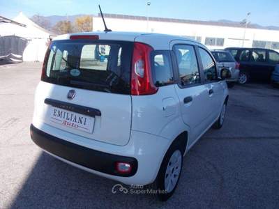 Fiat Panda 1.2 Pop Bianco usata Terni