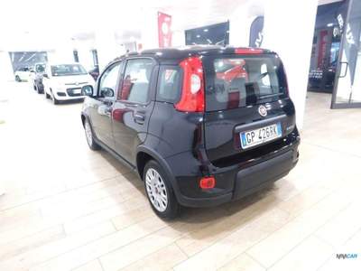 Fiat Panda 1.0 FireFly S&S Hybrid CityLife Nero usata Isola del Liri
