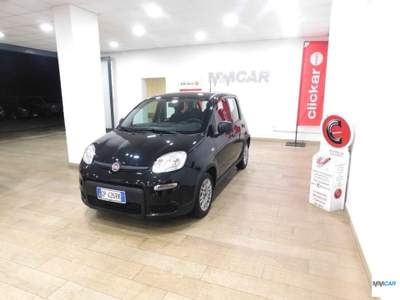 Fiat Panda 1.0 FireFly S&S Hybrid CityLife Nero usata Isola del Liri