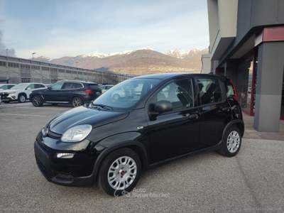 Fiat Panda Panda 1.0 70CV FireFly S&S Hybrid Nero usata Scurelle