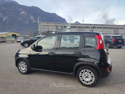 Fiat Panda Panda 1.0 70CV FireFly S&S Hybrid Nero usata Scurelle