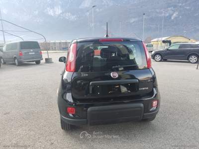 Fiat Panda Panda 1.0 70CV FireFly S&S Hybrid Nero usata Scurelle