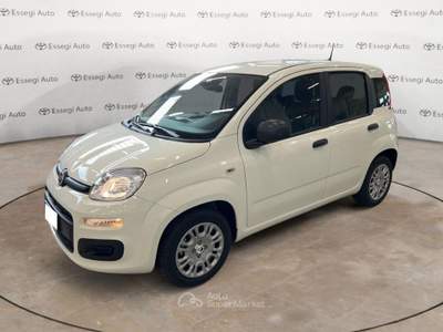 Fiat Panda 1.0 FireFly S&S Hybrid Pandina Bianco usata Caresanablot