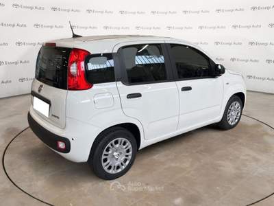 Fiat Panda 1.0 FireFly S&S Hybrid Pandina Bianco usata Caresanablot