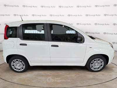 Fiat Panda 1.0 FireFly S&S Hybrid Pandina Bianco usata Caresanablot