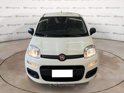 Fiat Panda 1.0 FireFly S&S Hybrid Pandina Bianco usata Caresanablot