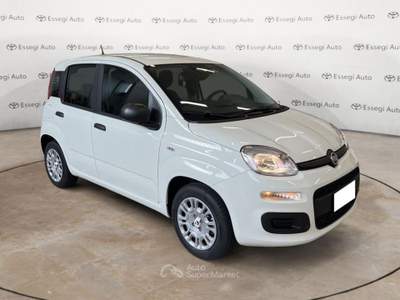 Fiat Panda 1.0 FireFly S&S Hybrid Pandina Bianco usata Caresanablot