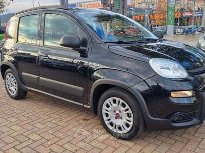 Fiat Panda 1.0 FireFly S&S Hybrid Nero usata Savona
