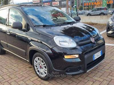 Fiat Panda 1.0 FireFly S&S Hybrid Nero usata Savona