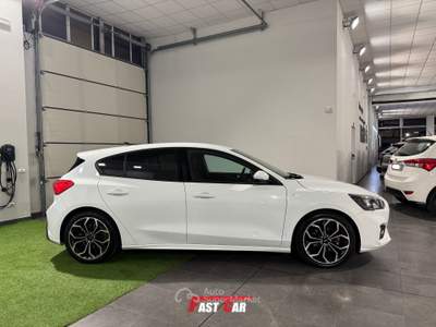 Ford Focus 1.0 EcoBoost Hybrid 125CV 5p. ST Line Bianco usata Occhiobello