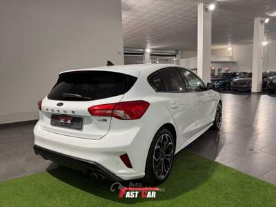 Ford Focus 1.0 EcoBoost Hybrid 125CV 5p. ST Line Bianco usata Occhiobello