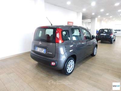 Fiat Panda FIAT Panda 1.0 FireFly S&S Hybrid City Life Grigio usata Isola del Liri