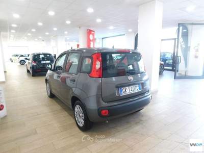 Fiat Panda FIAT Panda 1.0 FireFly S&S Hybrid City Life Grigio usata Isola del Liri