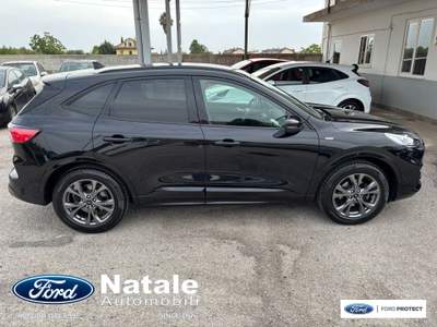 Ford Kuga ST-Line X 2.0 Ecoblue 150 CV AWD Nero usata Pignataro Maggiore