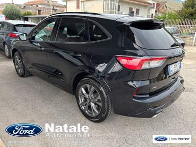 Ford Kuga ST-Line X 2.0 Ecoblue 150 CV AWD Nero usata Pignataro Maggiore
