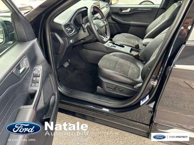 Ford Kuga ST-Line X 2.0 Ecoblue 150 CV AWD Nero usata Pignataro Maggiore