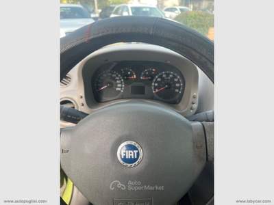 Fiat Panda Panda 1.2 4x4 Climbing Verde usata Zafferana Etnea