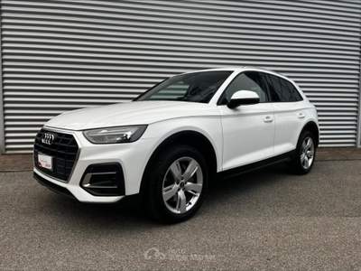 Audi Q5 40 TDI MHEV QUATTRO S-TRONIC BUSINESS ADVANCED Bianco usata San Fior