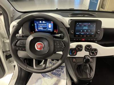 Fiat Panda 1.0 FireFly S&S Hybrid Pandina Bianco usata Fornovo di Taro