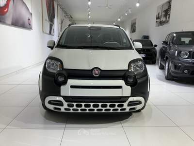 Fiat Panda 1.0 FireFly S&S Hybrid Pandina Bianco usata Fornovo di Taro